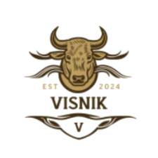 Visnikreview-removebg-preview