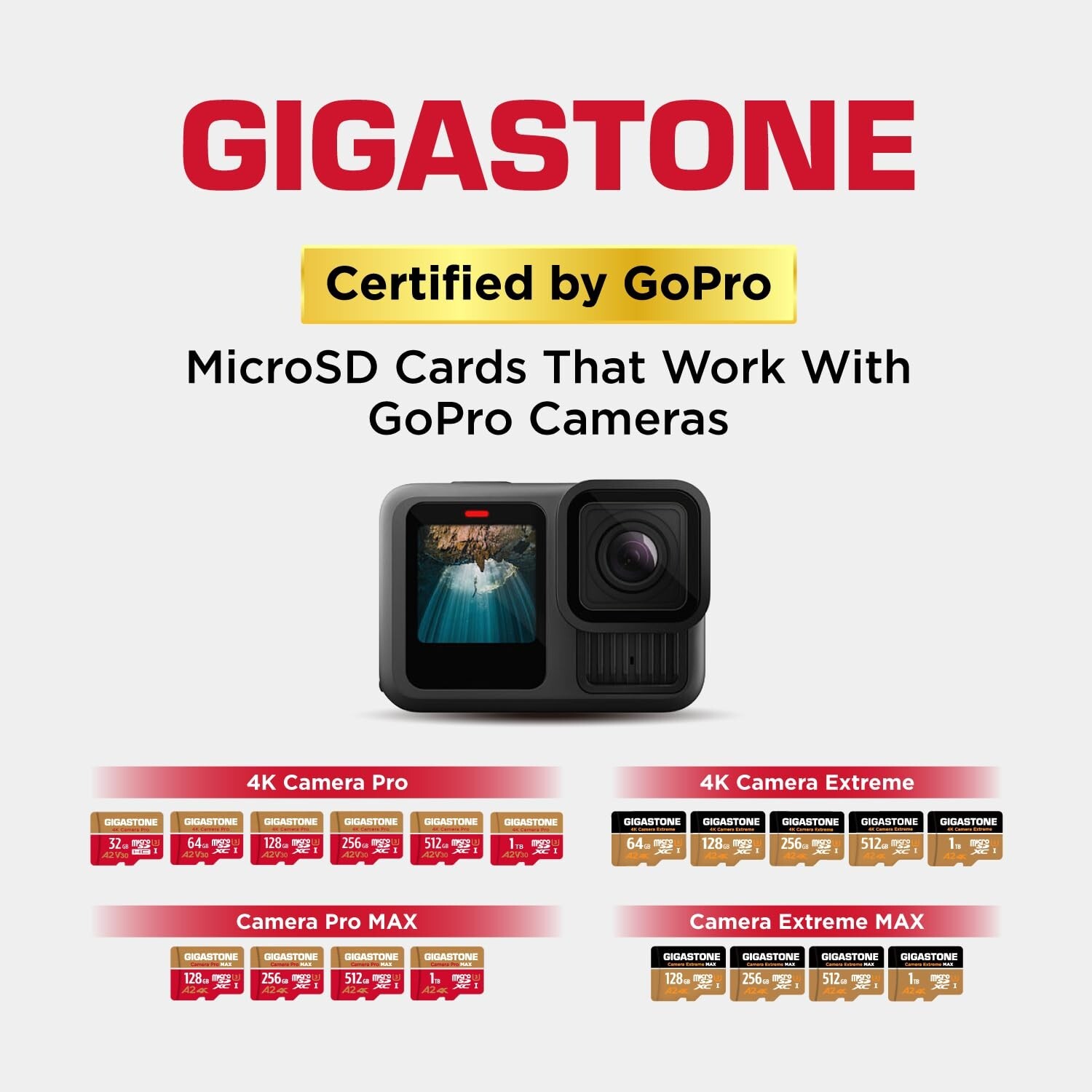 [5-Yrs Free Data Recovery] GIGASTONE 256GB Micro SD Card with USB 3.2 Type C …