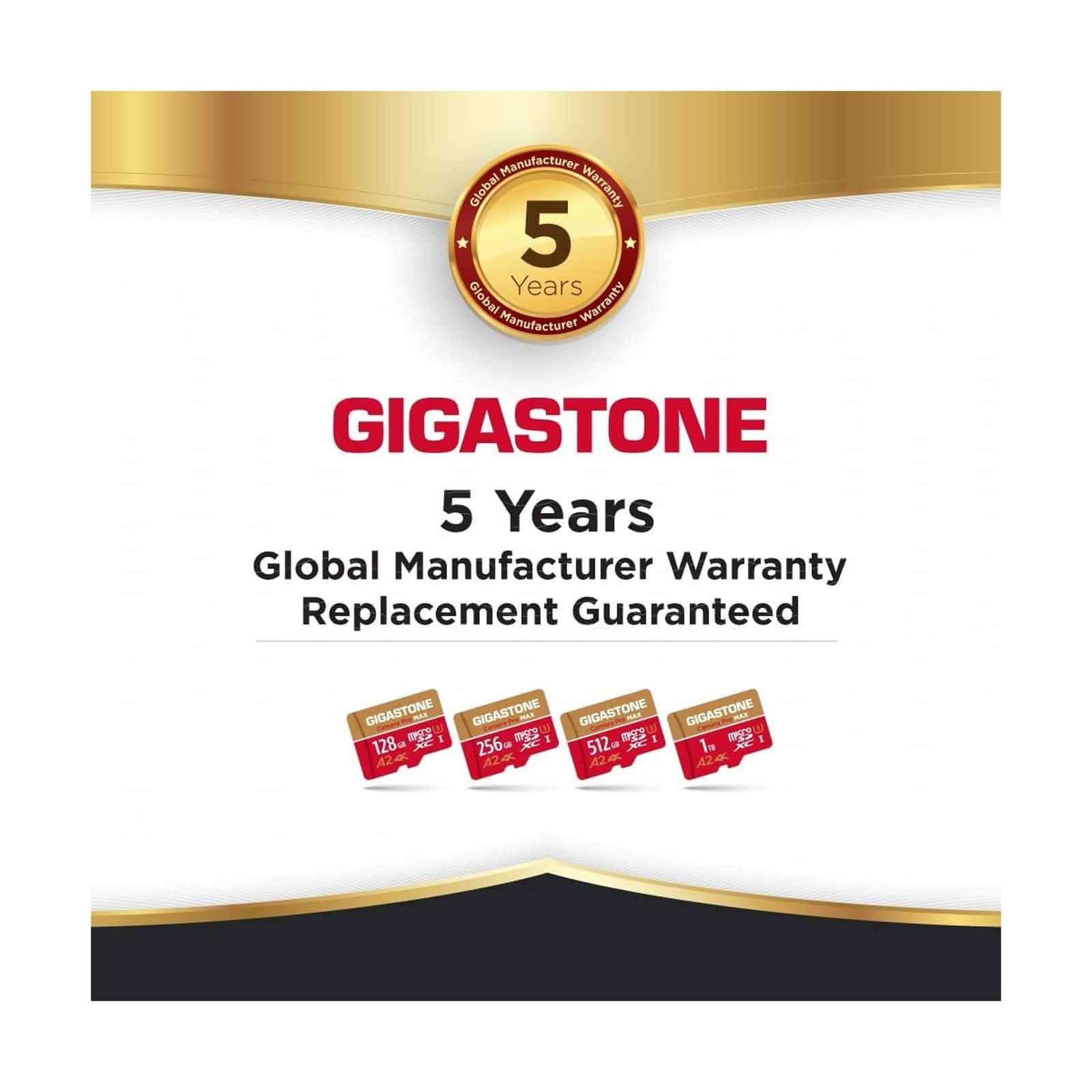 [5-Yrs Free Data Recovery] GIGASTONE 1TB Micro SD Card with USB 3.2 Type C Ca…