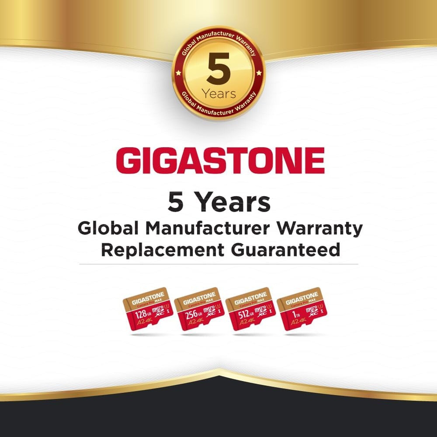 [5-Yrs Free Data Recovery] GIGASTONE 256GB Micro SD Card with USB 3.2 Type C …